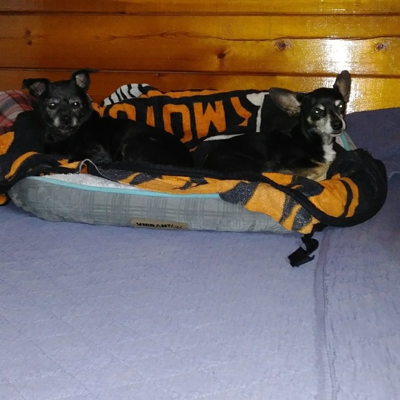 Meet your Posher, Cheryl - Picture 1 of 1